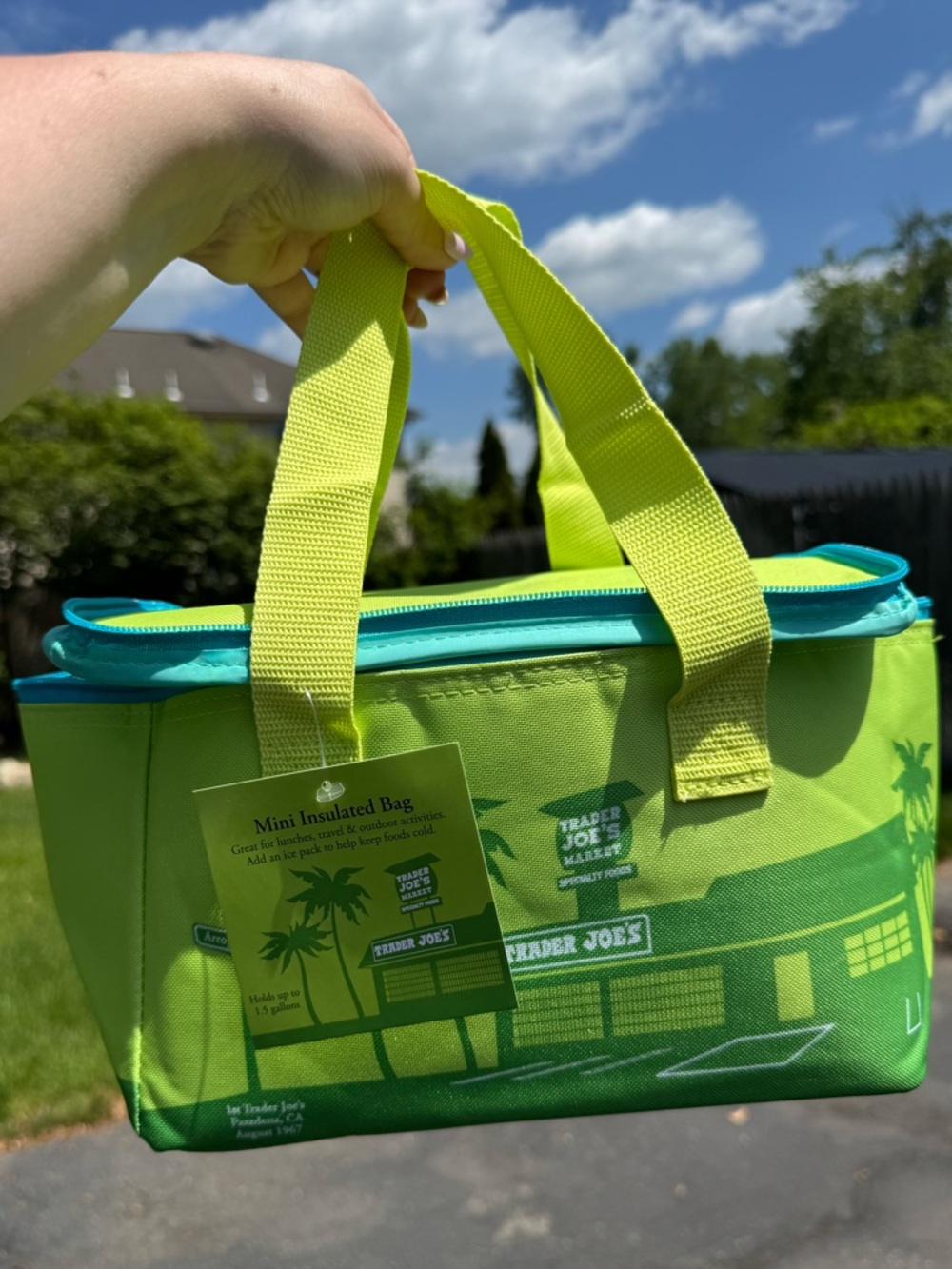 NWT! Trader Joe's Mini Insulated Tote - Bright Lime & Teal